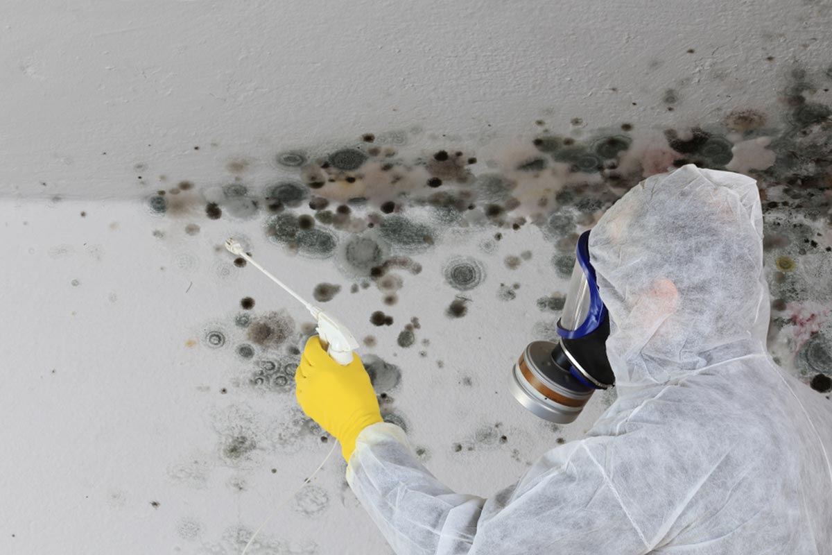 Professional Mold Testing & Remediation Services